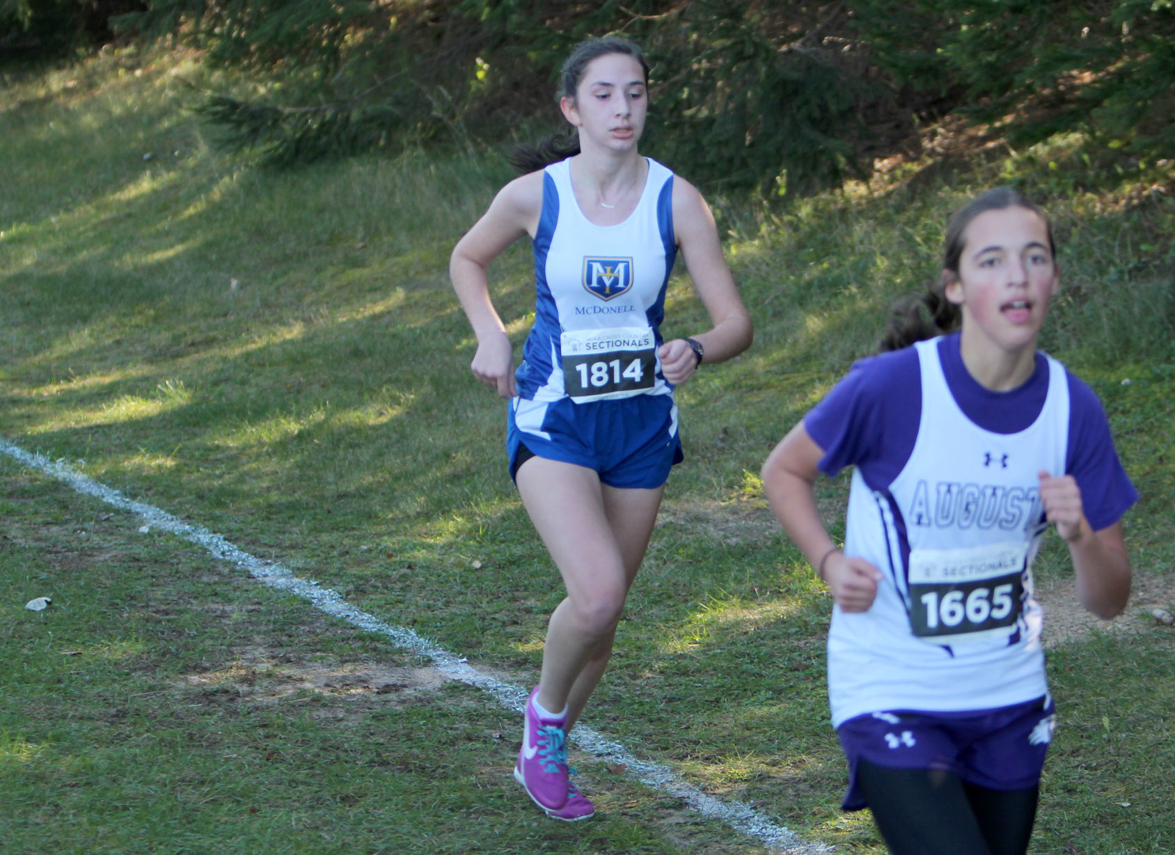 Division 3 Cross Country Sectionals in Boyceville 10-26-19